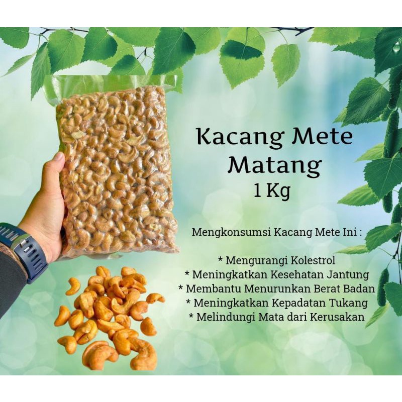 

Kacang Mete Matang