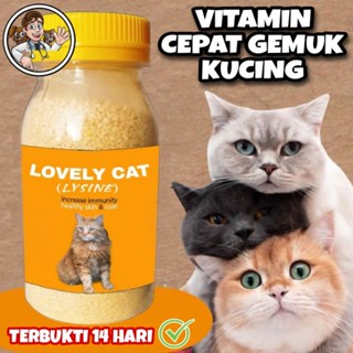 Image of PRO LYSINE 50gr VITAMIN PENGGEMUK & PEMUMBUH PELEBAT BULU KUCING ANABUL