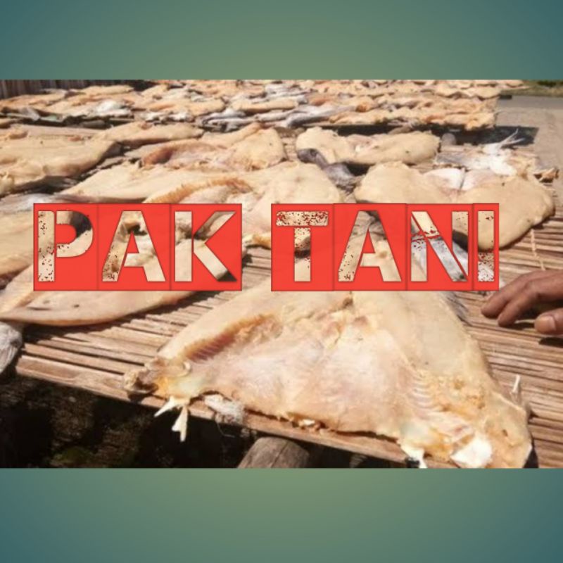 

Ikan asin Jambal Roti Tanpa Tulang Original Gurih mantap 1kg