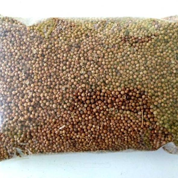 

す Ketumbar 500gr / Biji Ketumbar Alami Natural Tanpa Pemutih を