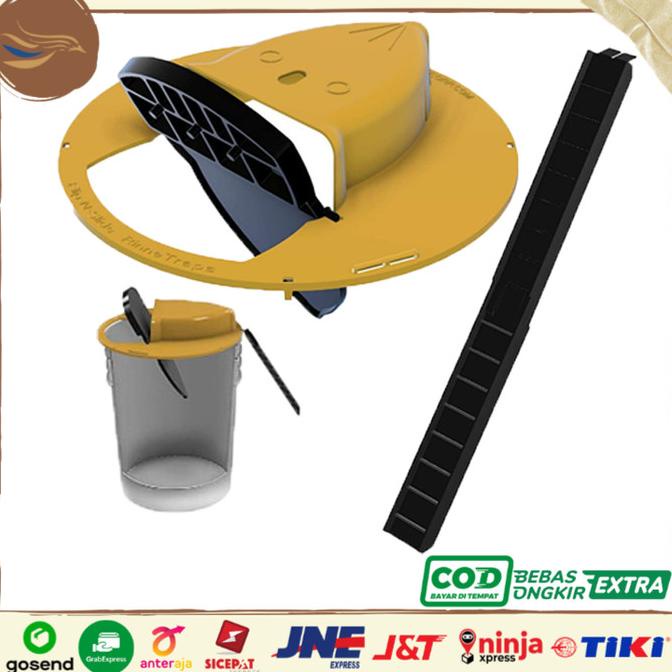 Perangkap Tikus Ampun. Jebakan Tikus Ember