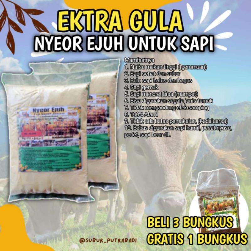 

JAMU HERBAL NYEOR EJUH