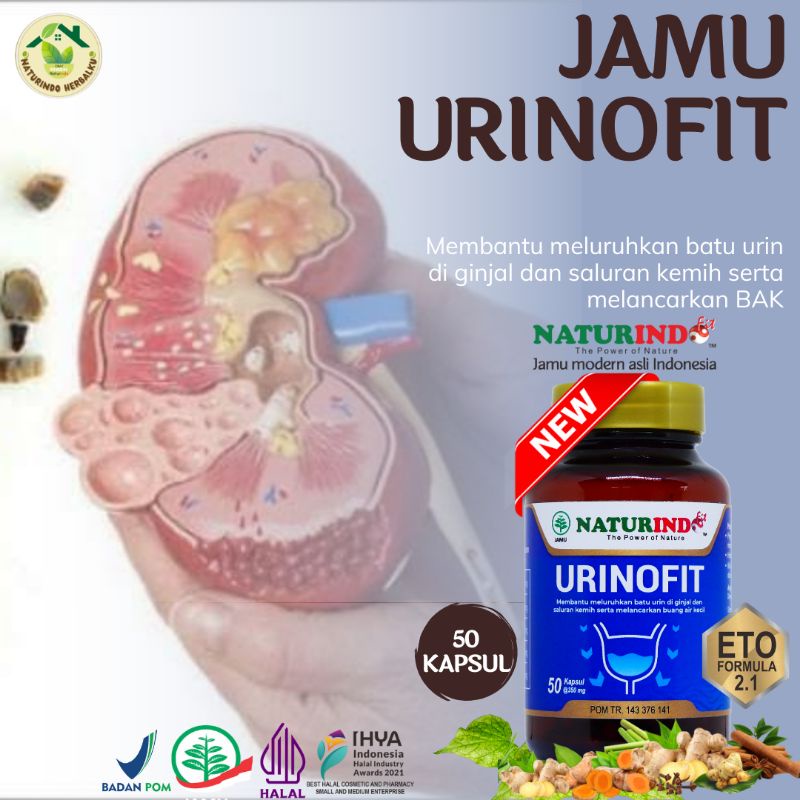 URINOFIT NATURINDO Obat Herbal Batu Ginjal Kencing Batu Sakit