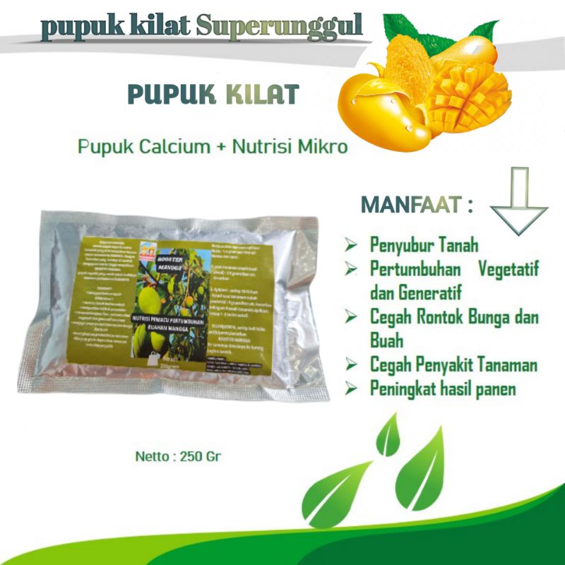 Pupuk Booster Organik Pelebat Buah Mangga Dan Perangsang Agar Cepat Berbuah