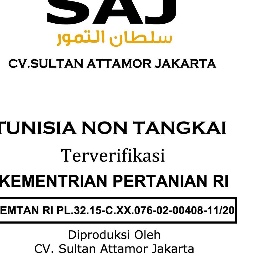 

PROMO HARI INI Kurma Palm Dates 500 gr Non Tangkai 