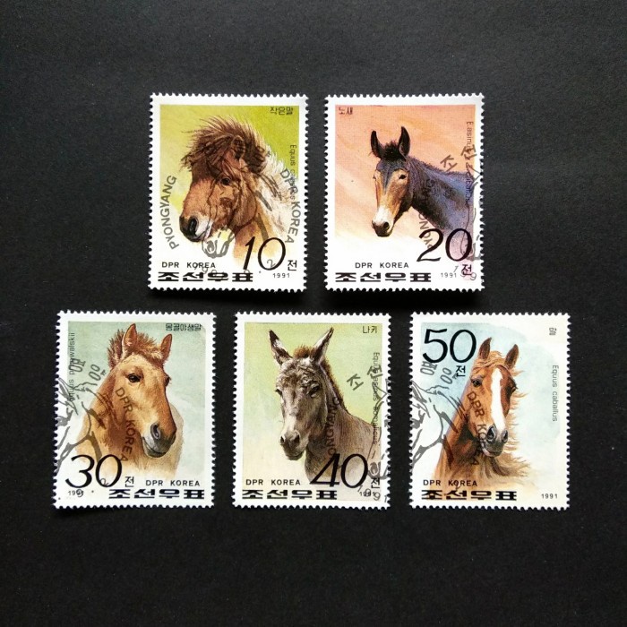 

✨NEW✨ - Perangko/Prangko Korea Utara(8) Kuda 5pcs