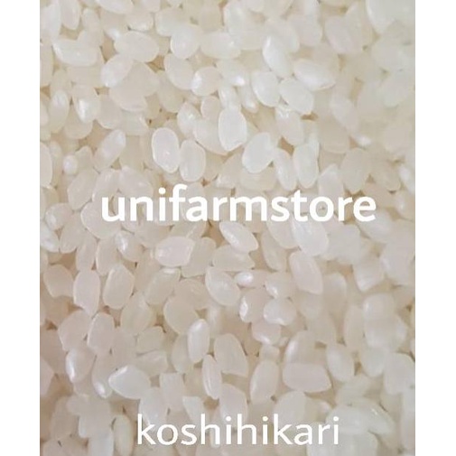 

Ready Beras Jepang Japonica Koshihikari 5KG JRT