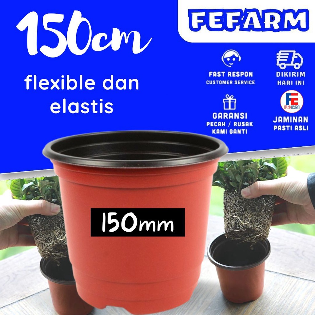 Double Color Flexible Flower Pot / Pot Bunga Elastis Dua Warna, 15 cm 150mm FEFARM