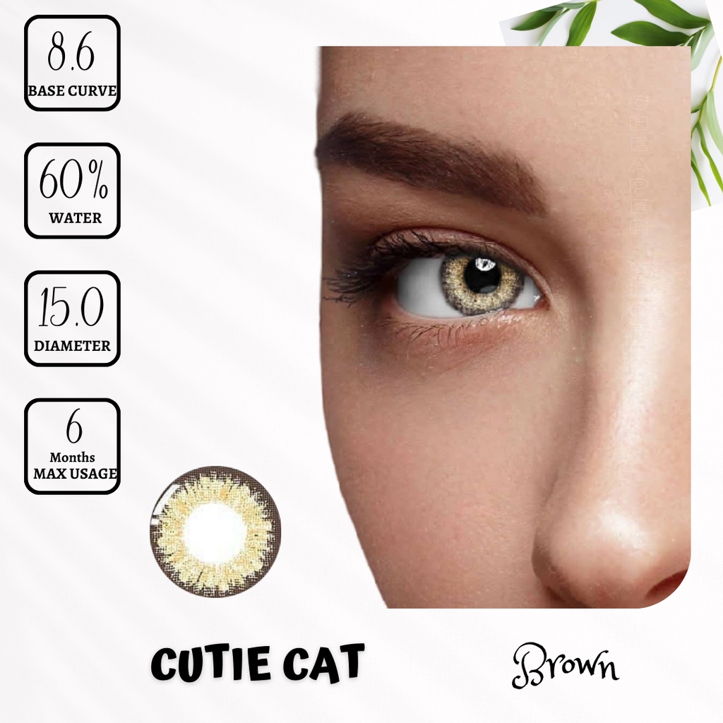 SOFTLENS CUTIE CAT MINUS -0.50 SD -6.00