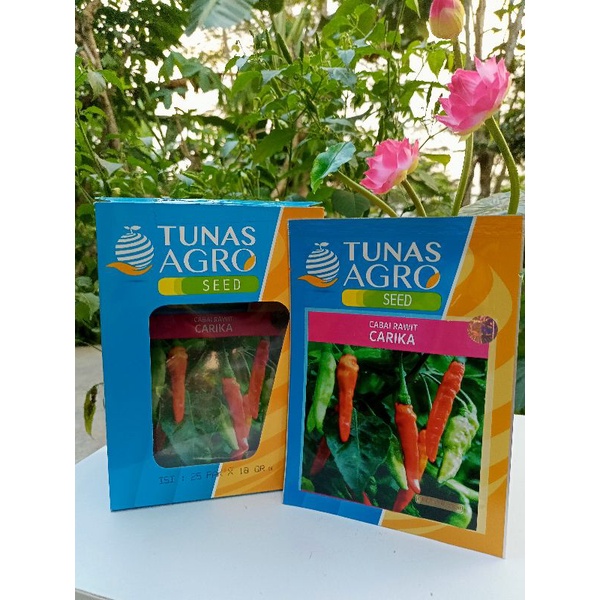 BIBIT/BENIH CABAI RAWIT SETAN CARIKA TUNAS AGRO SEED