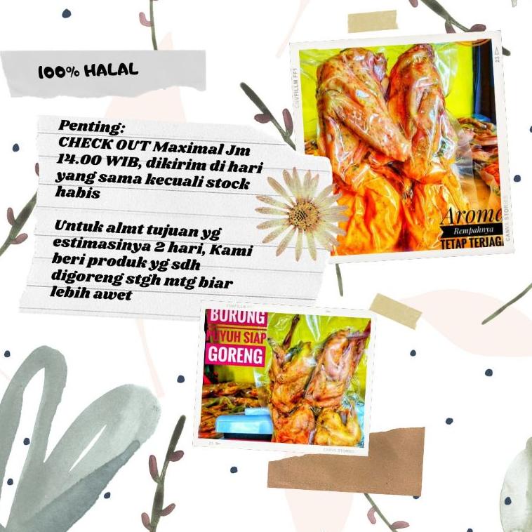 

ヰ Burung Puyuh UNGKEP SIAP GORENG 4 EKOR FREE SAMBEL ⇓