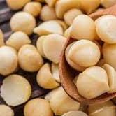 

limited Edition✔️Macadamia Kulit Roasted 500gram - Kacang yang Ngeselin FREE ALAT PEMBUKANYA|SQ6