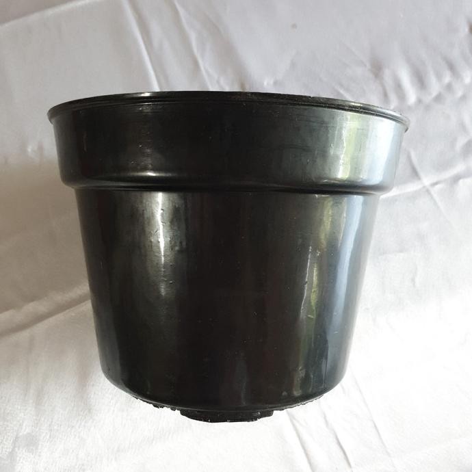 6 Pot Bunga Plastik Hitam Ukuran 20