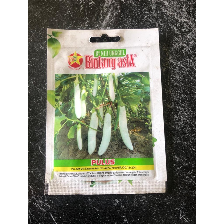 [BISA COD]Benih Terong Putih PULUS sp 2 Gram Bibit Bintang AsiaA