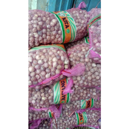 

bawang lanang 1 kg