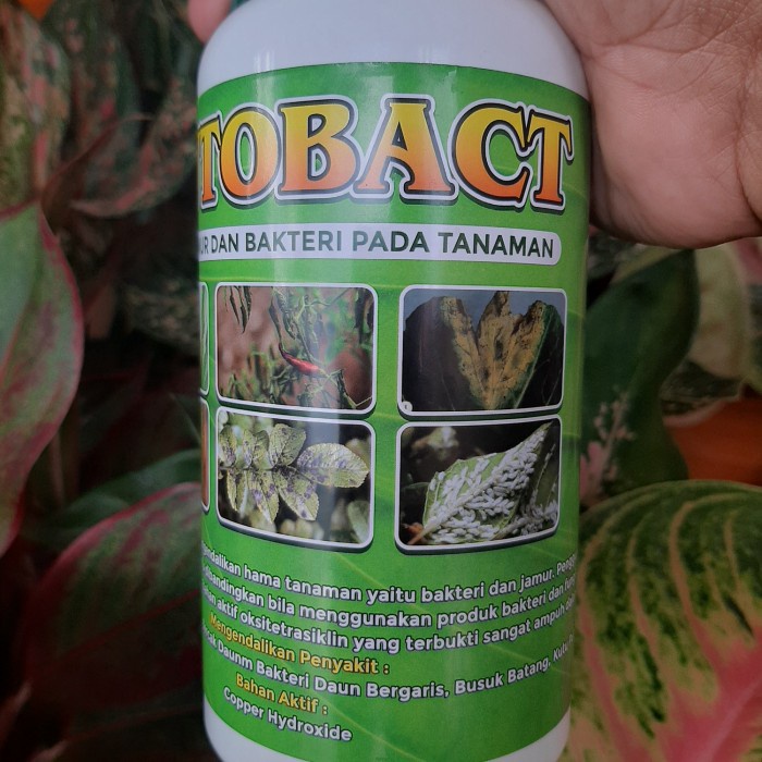 AUTOBACT 500ml Anti Bakteri ,Jamur Dan Kutu Putih siap pakai