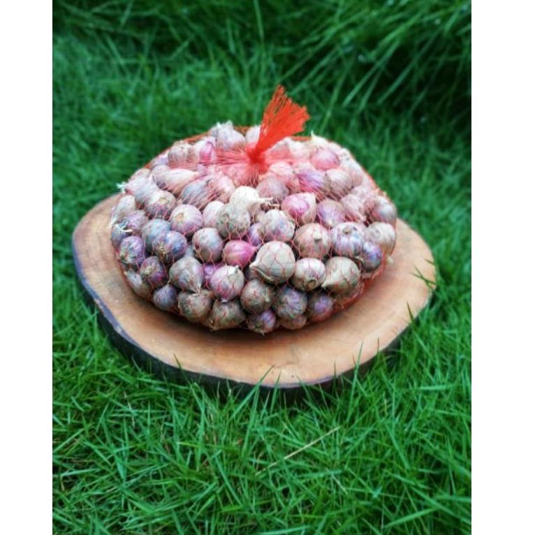 

㊙ Bawang Putih Tunggal | Bawang Lanang 1 kg ㅎ