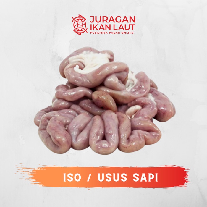 

Iso / Usus Sapi Berkualitas - 500 Gram