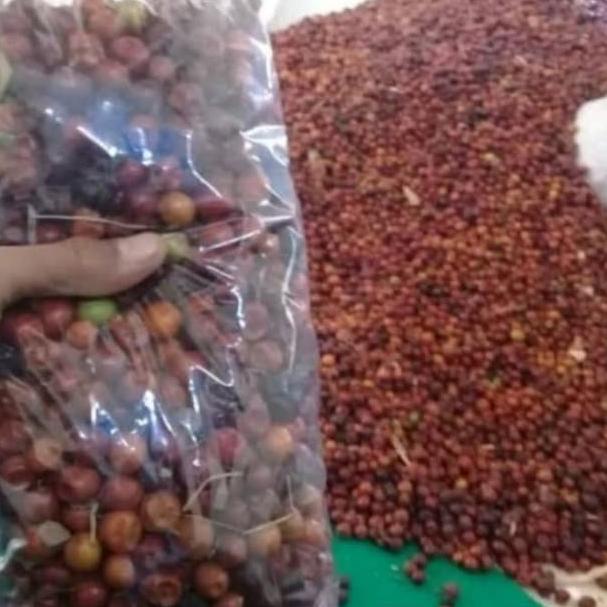 

[B-1]3 ✉] BUAH BIDARA KERING 1 KG-proses cepat