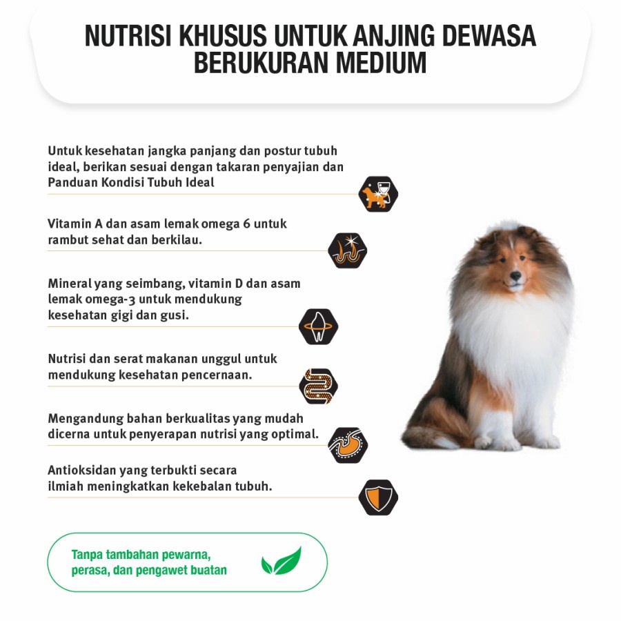 pro plan proplan medium adult dog optilife 2,5kg makanan anjing 2,5 kg