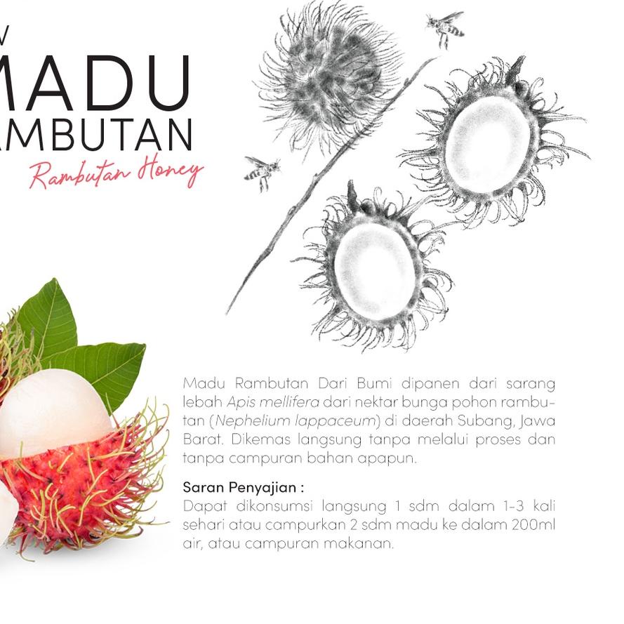 

JU7⁂ Madu Murni Rambutan 350 gr Dari Bumi Madu Asli Premium Harga Terjangkau