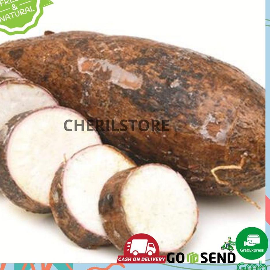

ㅃ KETELA / POHONG FRESH PASAR SURABAYA ➛