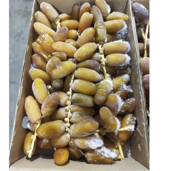 

Koleksi Terbaru Kurma Ruthob Firdaus asli Libya kemasan 2 kg`