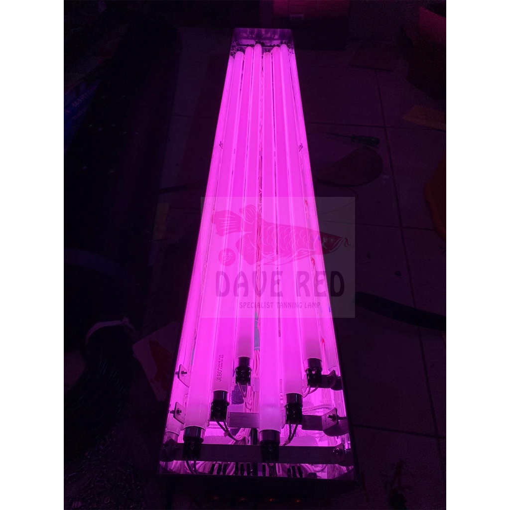 5 Lampu Jebo T8 Lampu Tanning Arwana Super Red Medium Soft Tanning