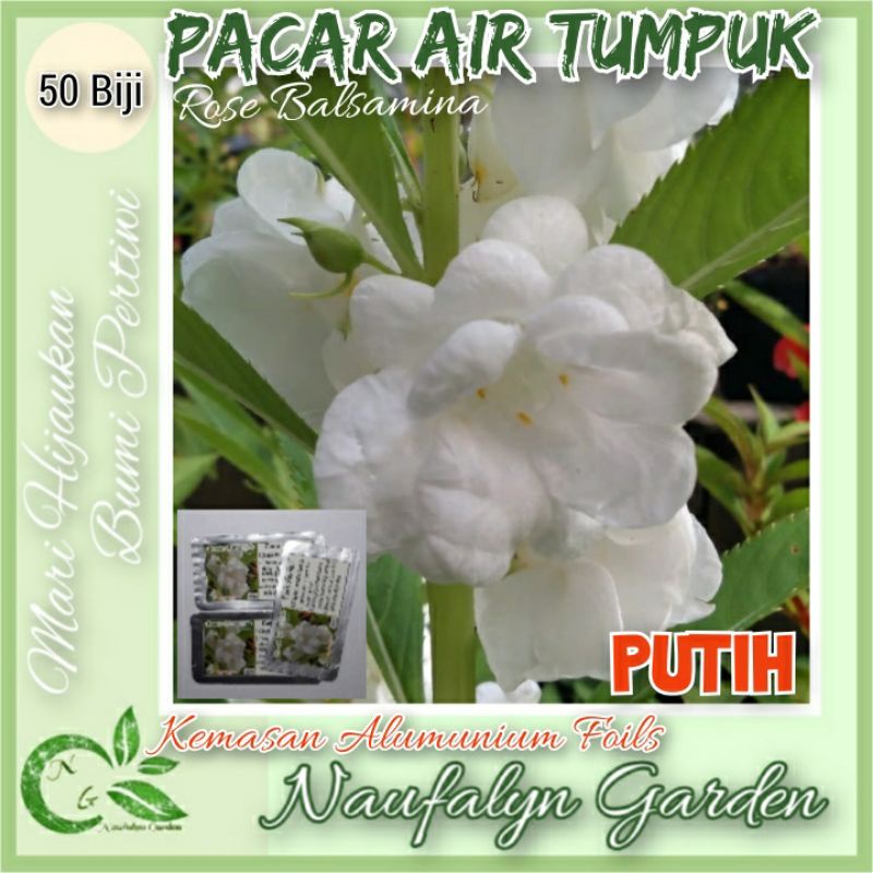 50 Benih Bibit Bunga Pacar Air Rose Balsamina Putih