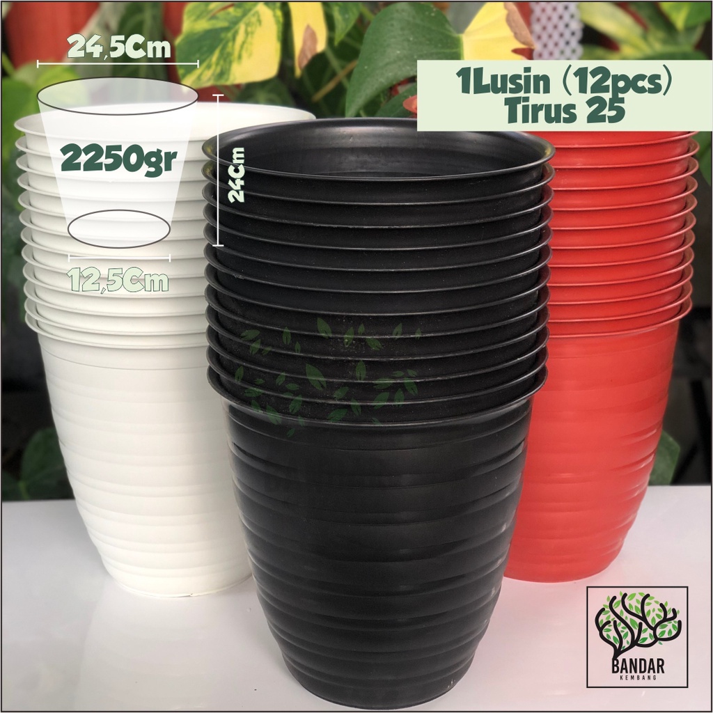 1 Lusin Pot Tinggi Tawon Tirus 25 Pot Pirus Ruplas 25 Pot 25 Pirus Pot Tanaman Aesthetic Aroid