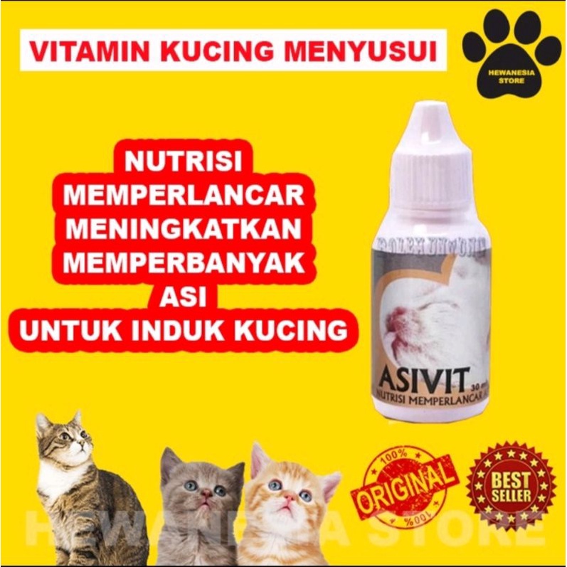 Vitamin Asi Kucing Pelancar Asi Kucing Penambah Asi Kucing Obat Asi Kucing ASIVIT CATASIVIT CAT meng