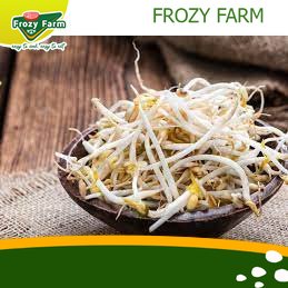 

Tauge Segar 250 gr Medan | Frozy Farm (termurah)