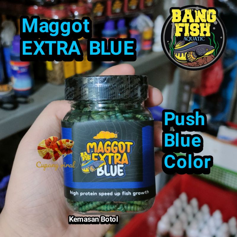 Maggot EXTRA BLUE Bang Fish Aquatic Channa Blue Booster