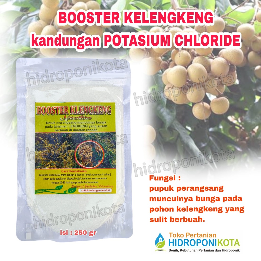 BOOSTER LENGKENG Potassium Chloride 250 gram - booster kelengkeng KCLO3 - pupuk kelengkeng - pupuk lengkeng