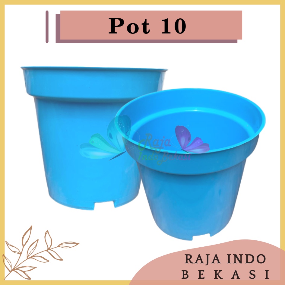 Pot Bunga 10 Cm Warna Warni Putih Hijau Kuning Pink Ungu Pot Bunga Hias Ukuran Mirip Pot Tawon 10 Cm