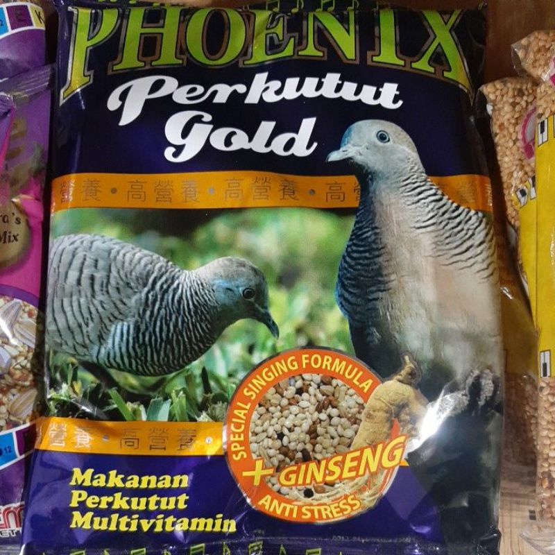 phoenix perkutut gold