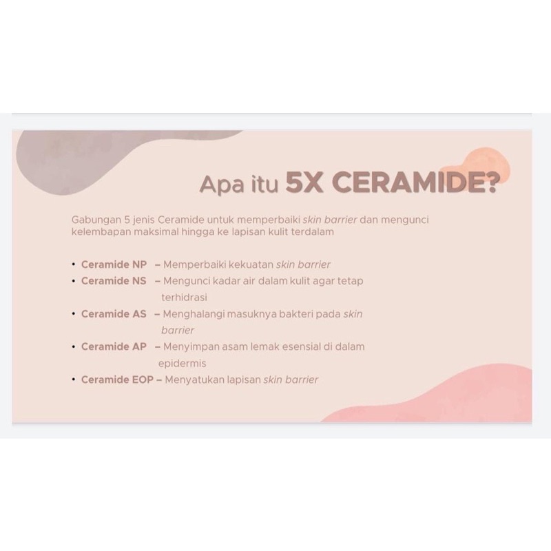 PIPIQIU 5X Ceramide Barrier Repair Moisture Gel 30gr