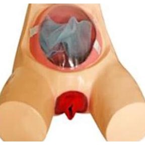 Phantom Manikin Plasenta Manual