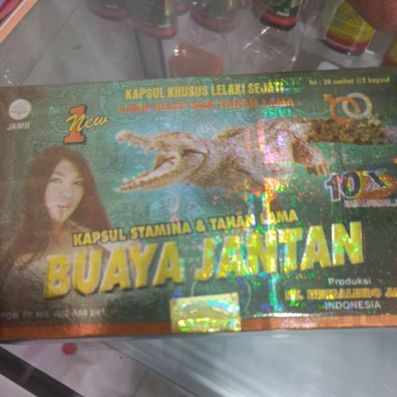 kapsul buaya jantan