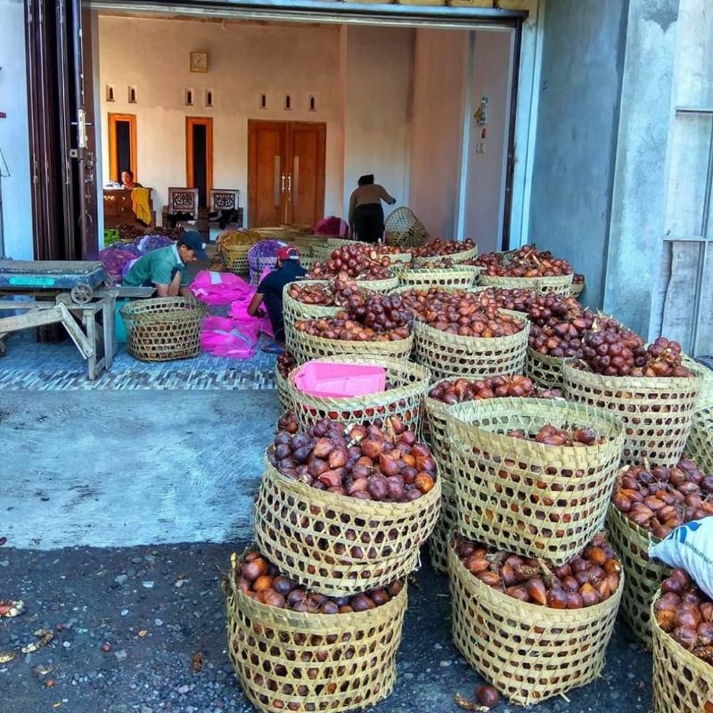 SALAK MADU GRADE A MANIS ASLI SLEMAN