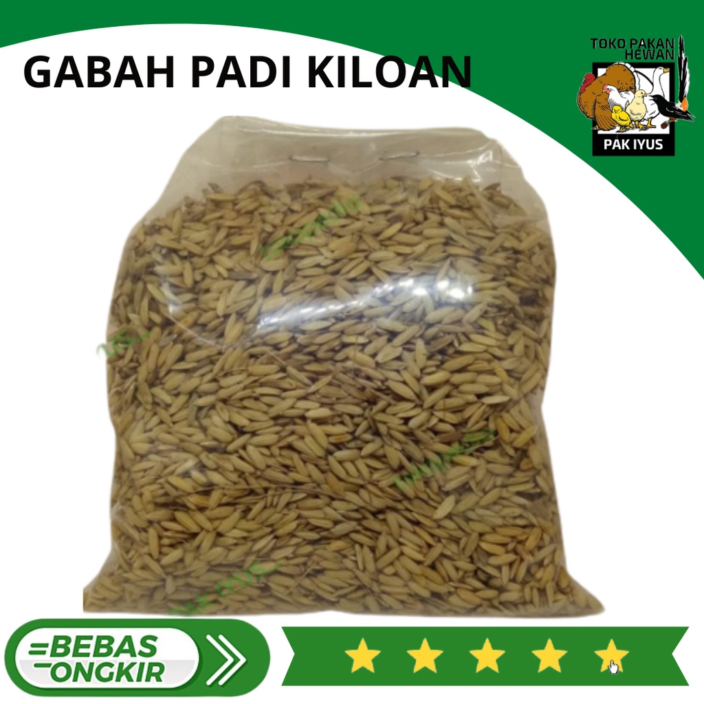 GABAH PADI KERING BERAS MERAH KILOAN PAKAN UNGGAS AYAM BURUNG DLL