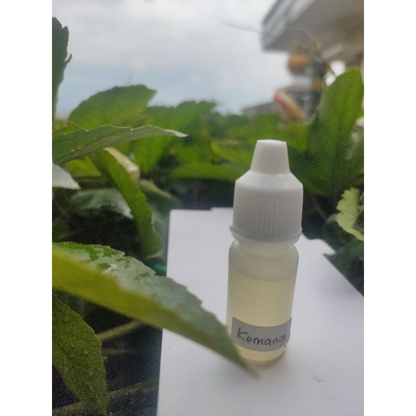 BIANG ESSEN MURNI KEMANGI 5ML