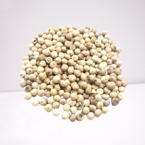 

( PER 100 GRAM ) ~ MERICA BUTIR BULAT
