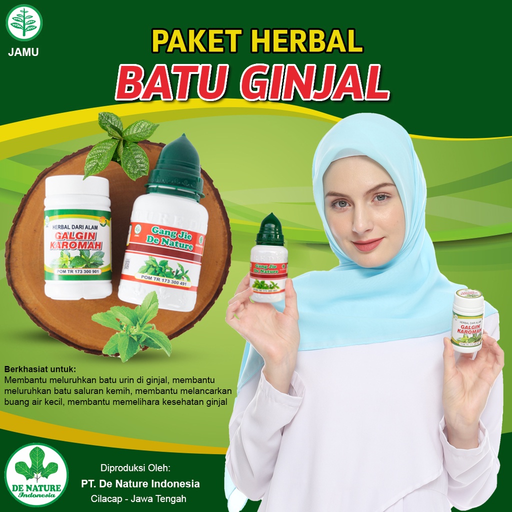 Obat Batu Ginjal Ampuh - Obat Penghancur Batu Ginjal