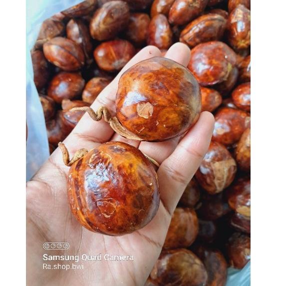 

[O-R1R] ➸] Jengkol Tua/jengkol punel berat 500gram-terviral