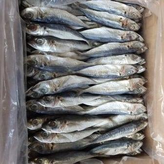 

☼ Ikan asin Layang/klotok/peda istimewa ↳