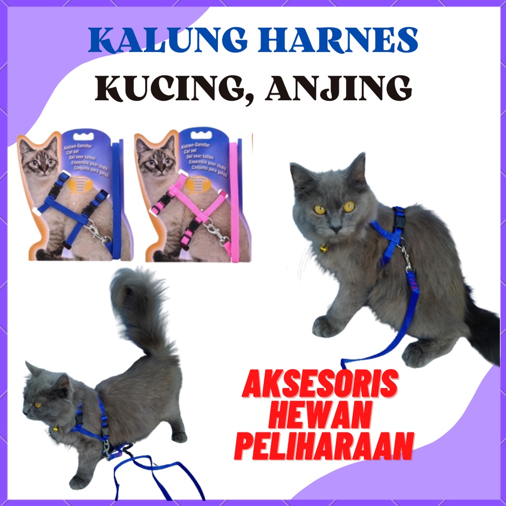 TALI TUNTUN HARNESS KUCING ANJING UNTUK BERSANTAI JALAN JALAN Y
