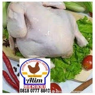 

08. Ayam Karkas (Carcass Chicken) _ 1,2 kg