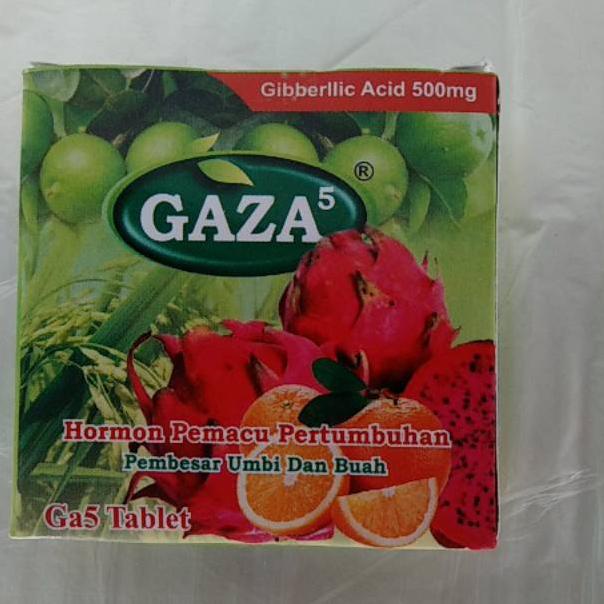 ㅉ GA 5 zpt Pembesar buah dan umbi gaza ga5 pembesar buah naga dan buah lainya せ