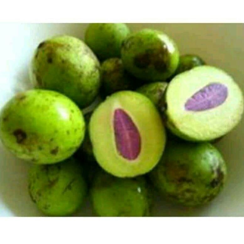 

[B-B1B][»] BUAH GANDARIA Mumer Fresh amanah